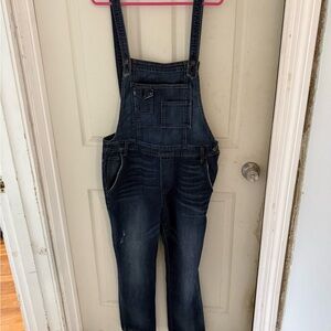 Feee People Dark Wash Denim Overalls